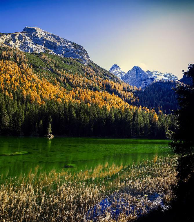 Dolomiti Di Brenta House 2 Villa Madonna di Campiglio Bagian luar foto